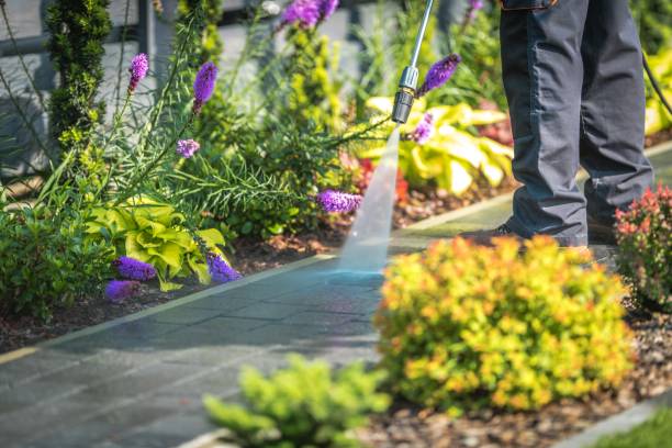 Best Parking Lot and Garage Cleaning  in Eufaula, OK