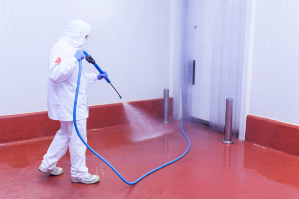 Best Solar Panel Cleaning  in Eufaula, OK